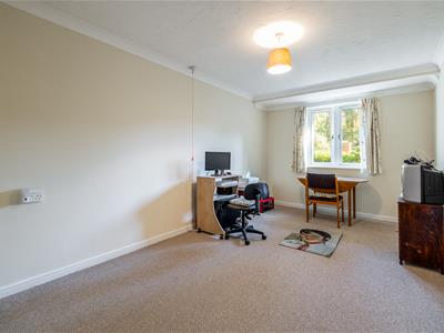 Picture 8